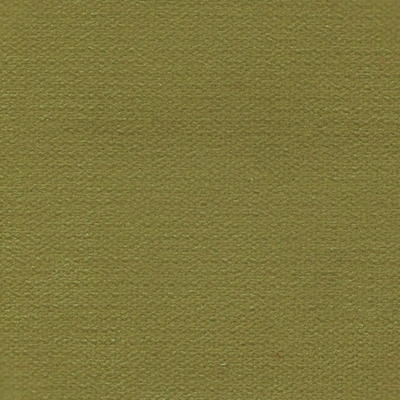 Haute House Fabric - George Apple - Velvet Solid #4245
