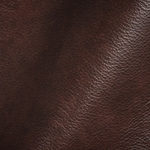 Haute House Fabric - Geyser Light Moss - Leather Upholstery Fabric #3399