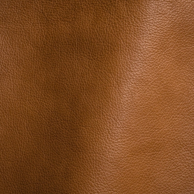 Haute House Fabric - Karina Cashew - Leather Upholstery Fabric #4819
