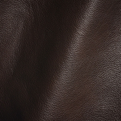 Haute House Fabric - Karina Molasses - Leather Upholstery Fabric #4824