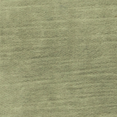 Haute House Fabric - Luxor Sage - Velvet #4882