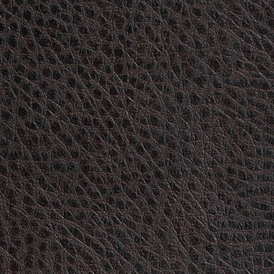 Haute House Fabric - Olympic Leather - Vinyl Fabric #5841