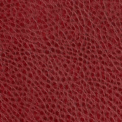 Haute House Fabric - Olympic Red - Vinyl Fabric #5843