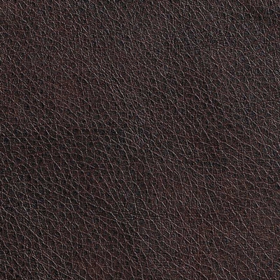 Haute House Fabric - Outlaw Leather - Vinyl Fabric #5862