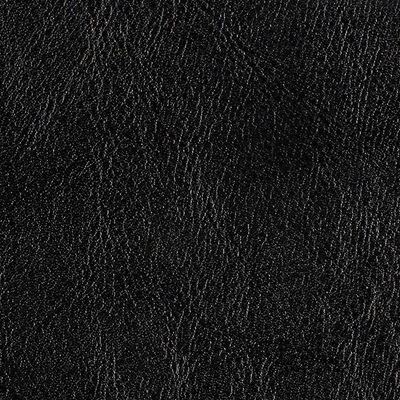 Haute House Fabric - Belair Black - Vinyl Fabric #5875