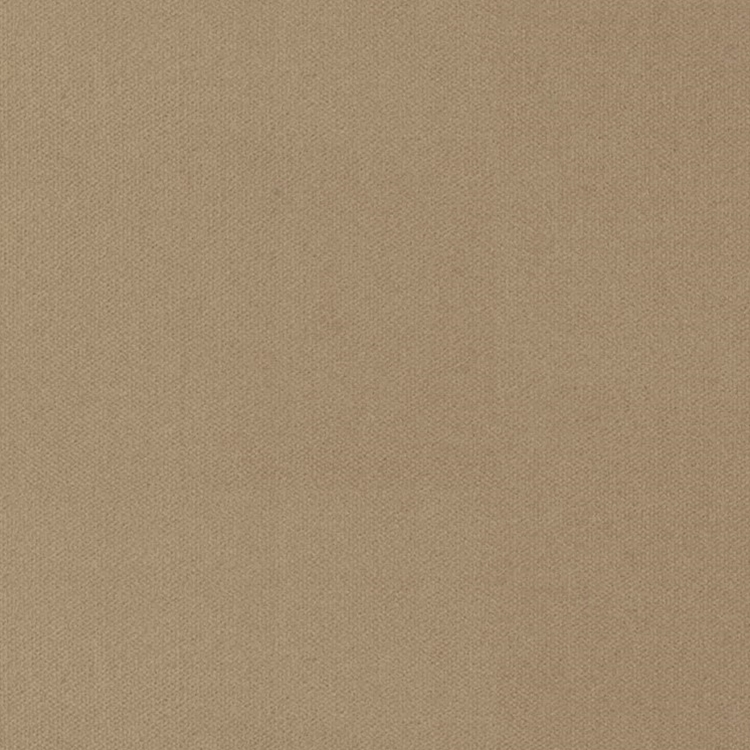 Haute House Fabric - George Latte - Velvet Solid #4228